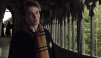Harry Potter Hufflepuff House Scarf / Sjaal