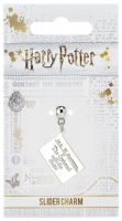 Harry Potter: Acceptance Letter Slider Charm / bedel