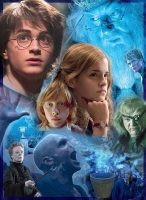 Harry Potter: Harry in Hogwarts Puzzle 500 Pieces / Puzzel 500 stukjes