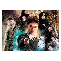 Harry Potter: Harry at Hogwarts Puzzle 500 Pieces / Puzzel 500 stukjes