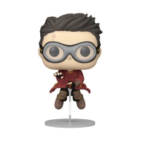 Funko Pop! Harry Potter - Harry with Broom (Quidditch)