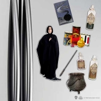 Harry Potter: Severus Snape Magnet Set / Magneet Set
