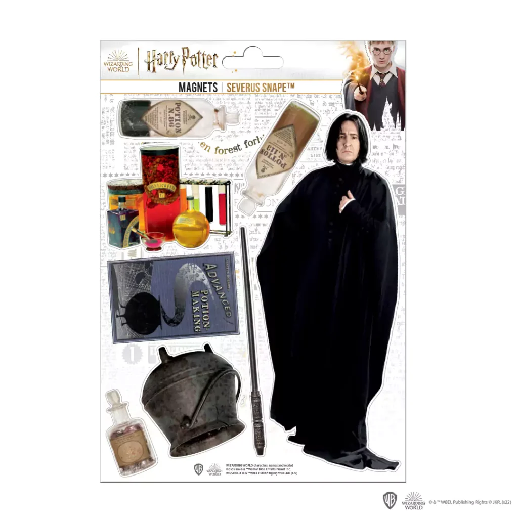 Harry Potter: Potions Class (With Severus Snape) Magnet Set / Magneten Set