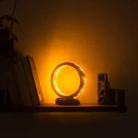 The Lord of the Rings:  The One Ring (USB-C)
